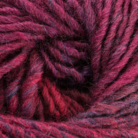 Burgundy Fuchsia (23)