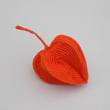 Physalis Plant (Chinese Lantern)