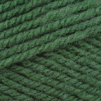 Fern (2341)