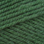 Fern (2341)
