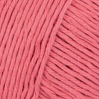 Blossom (41109)