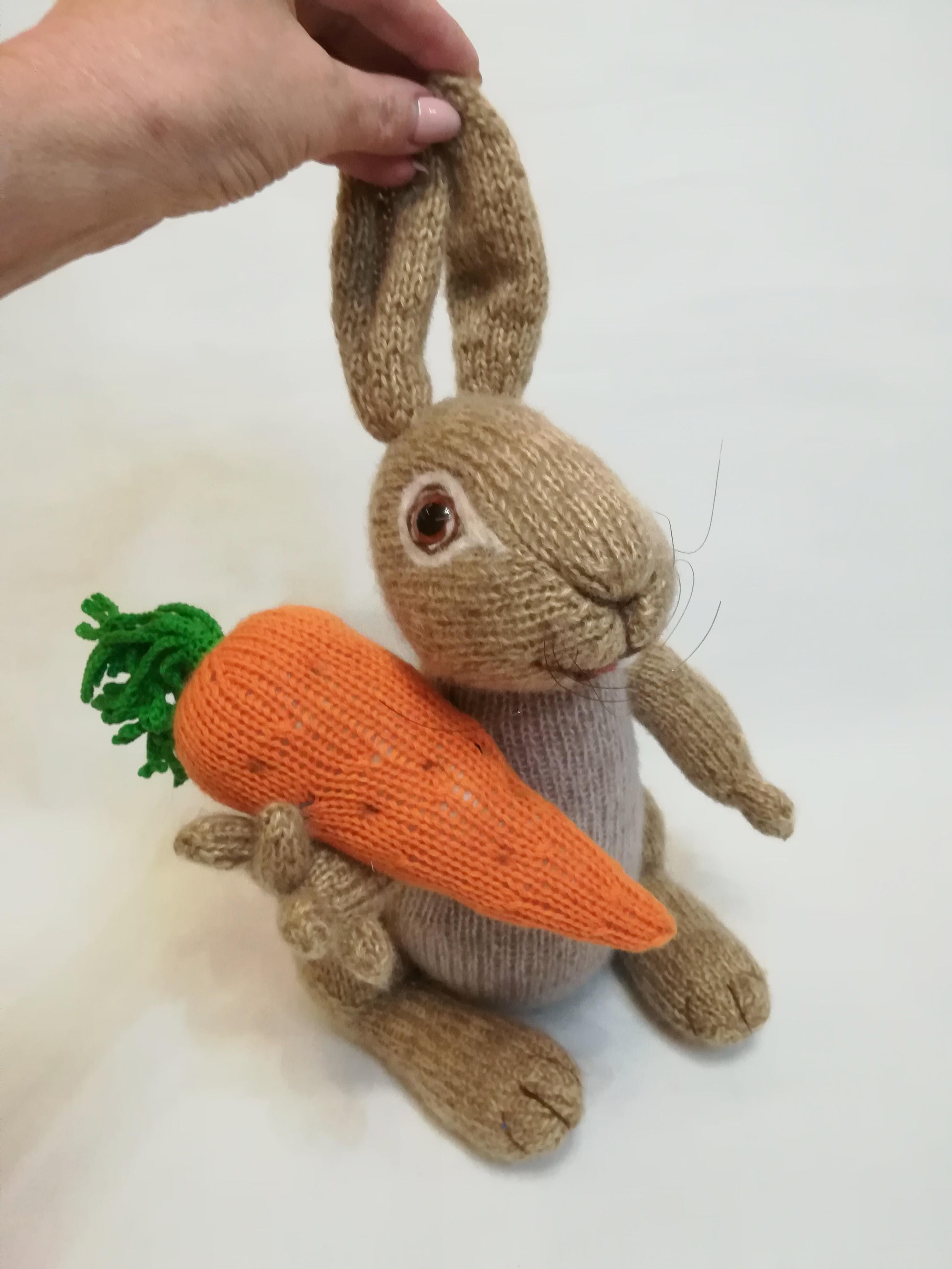 Peter Rabbit, Toy Knitting Pattern for Kids  Downloadable PDF, English