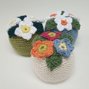 Flower Chocolate Orange Cosy