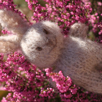 Bunny softie toy