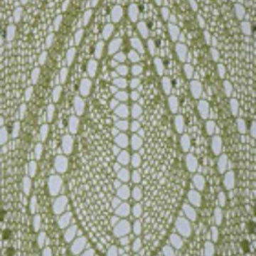 Back to the Garden Shawl