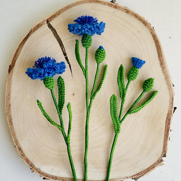 Cornflowers