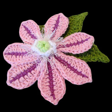Collection of Clematis crochet