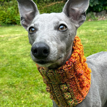 Doggy Bobble Snood
