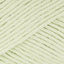 Pastel Green (67)