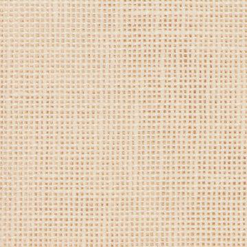 Icelandic Beige