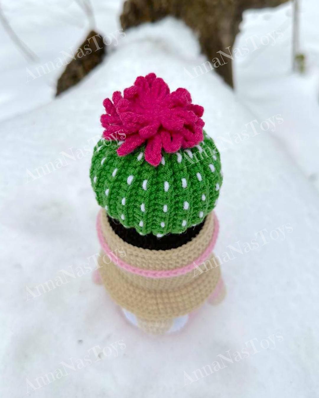 Gnome-cactus in a pot 5
