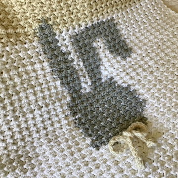 The Paris Bunny Baby Blanket