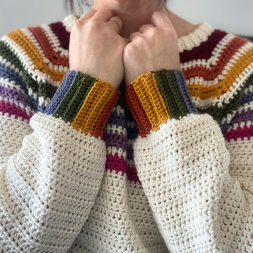 The Eclectic Rainbow Raglan