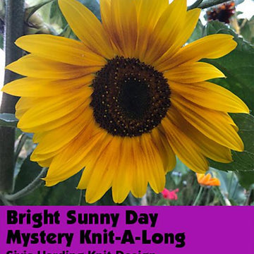 Bright Sunny Day