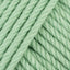 Mint (81)