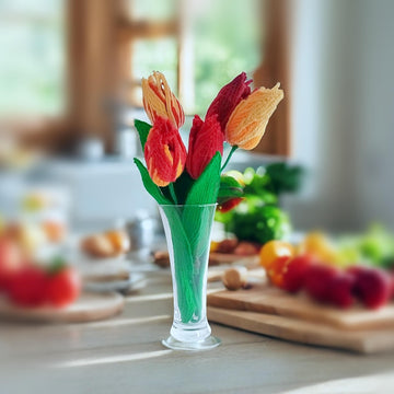 Bicolor Tulip