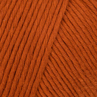 Cinnamon Dust