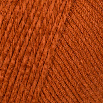 Cinnamon Dust