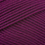 Fuschia (2742)