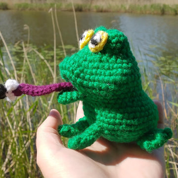 Frog with Fly from My story book Who wants Happy Hops's Toothbrush?