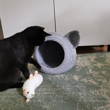 Cat cave