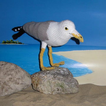 My Pet Seagull