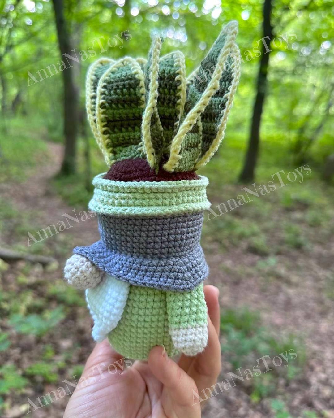 Gnome succulent Sansevieria-4