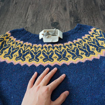 Butterfly Yoke Pullover