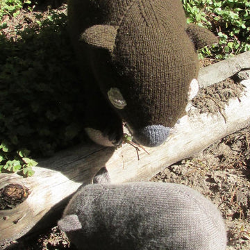 Toy Wombat