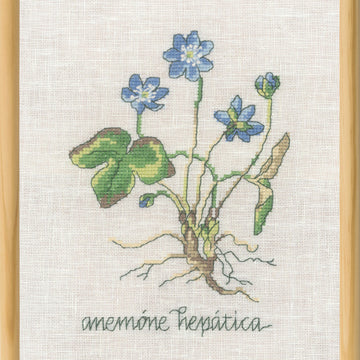 Permin Blue Anemone Cross Stitch Kit - 20x30cm