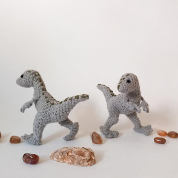 Velociraptor Dinosaurs