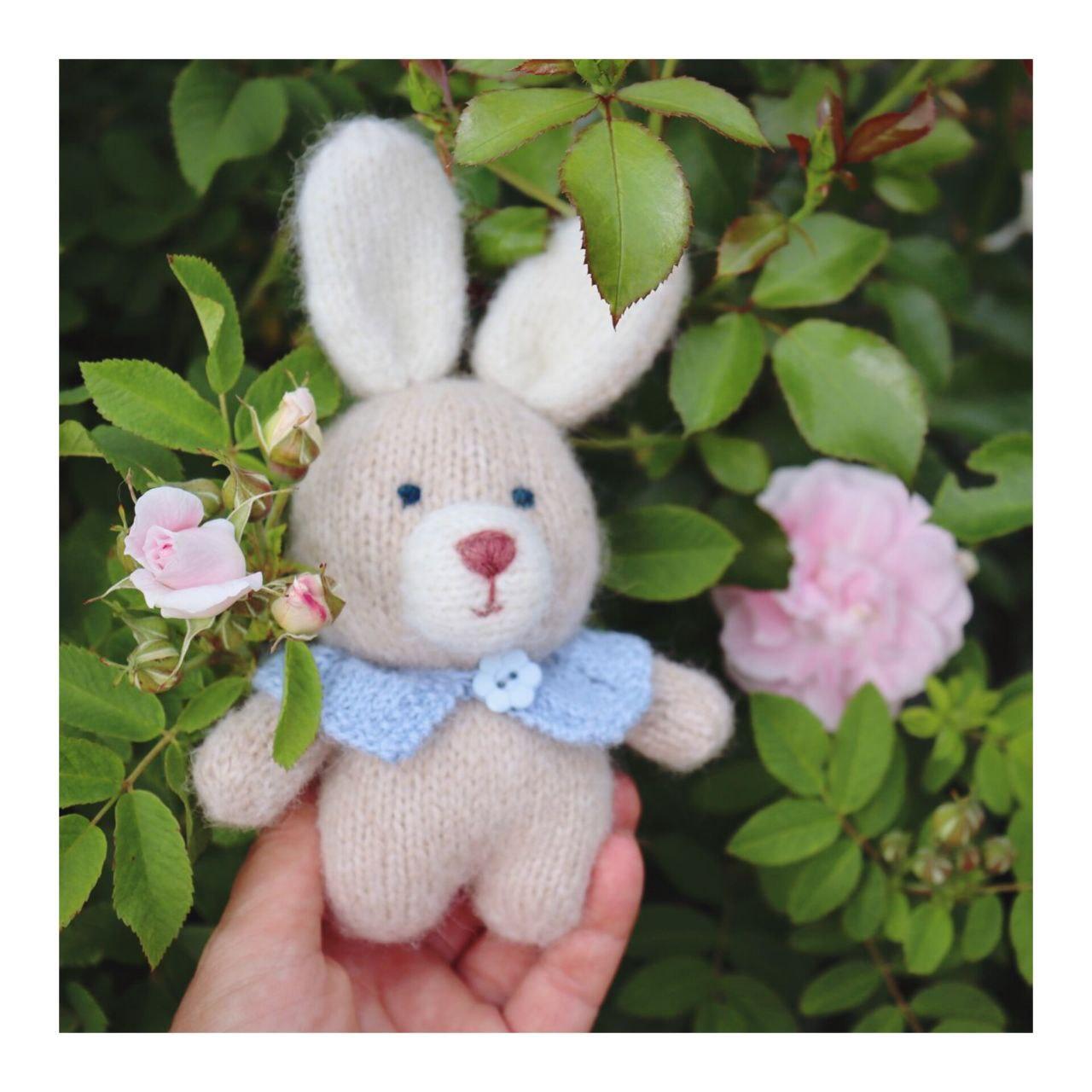 Sunny the Bunny