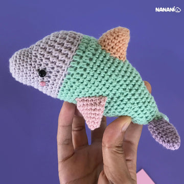 Didi the dolphin