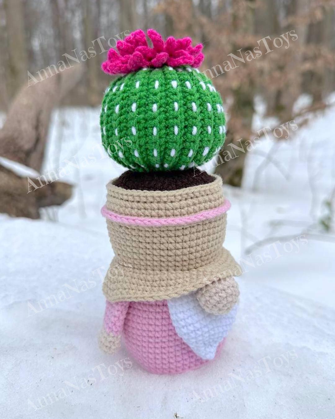 Gnome-cactus in a pot 5
