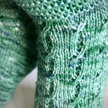 Insocknia