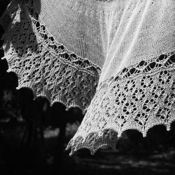 Fallen petals
