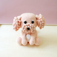 Camille the Cavoodle