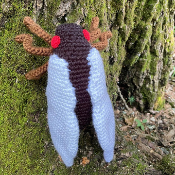 Periodic Cicada