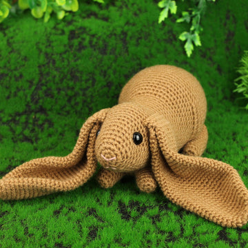 English lop rabbit