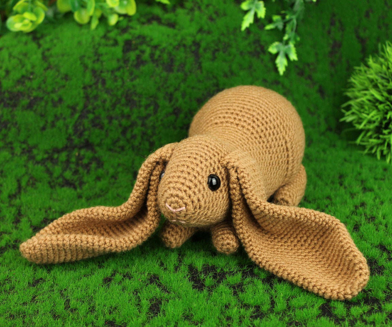 English lop rabbit