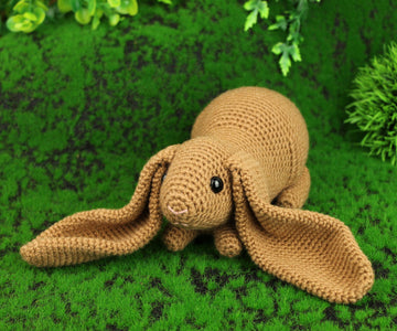 English lop rabbit