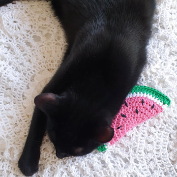 Watermelon catnip cat toy