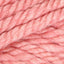 Apricot (288)