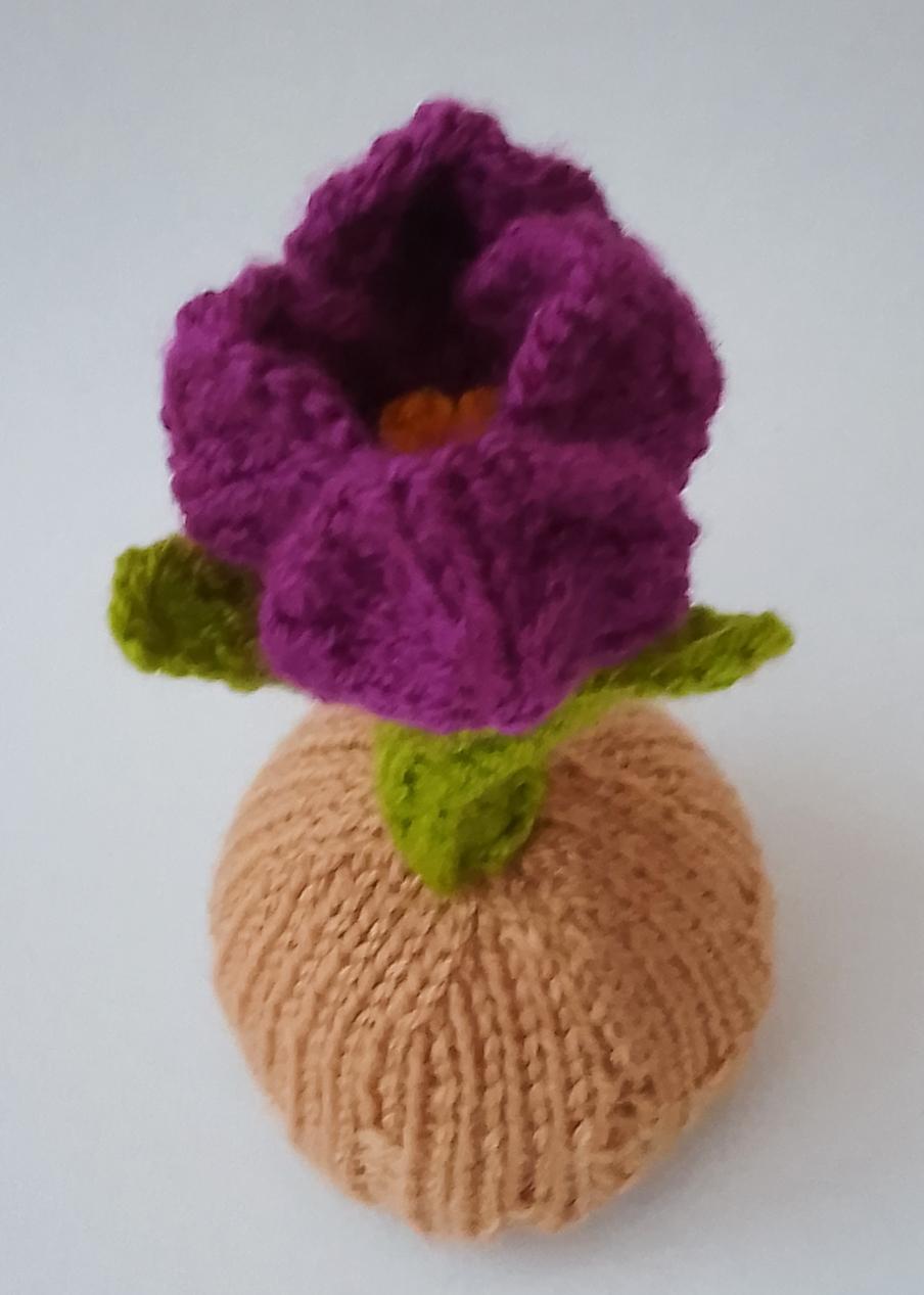 Tulip Chocolate Orange Cosy