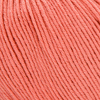 Salmon (132)