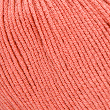 Salmon (132)