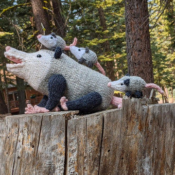 Opossum Family