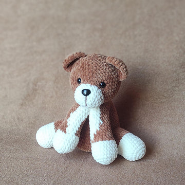 THE CHUBBY TEDDY BEAR