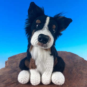 Australian Shepherd Moon