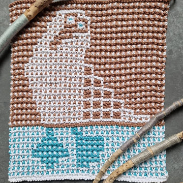 Blue-footed booby washcloths